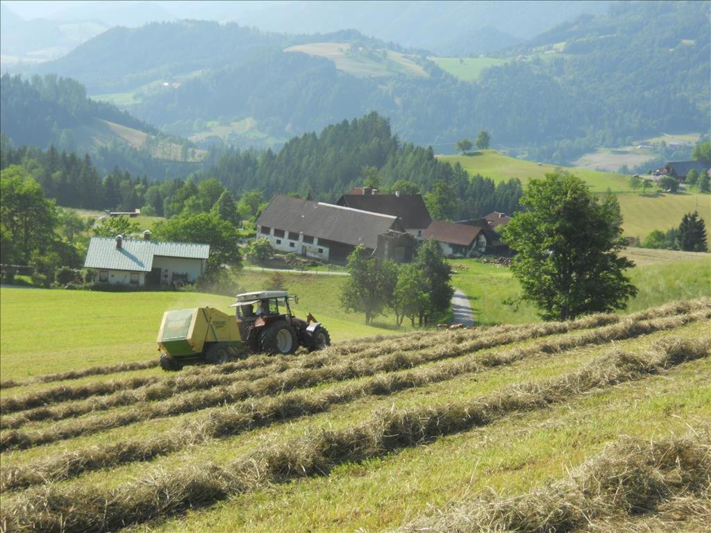 Familienbauernhof Imitz, Ferienwohnung Spital Am Pyhrn Exteriör bild