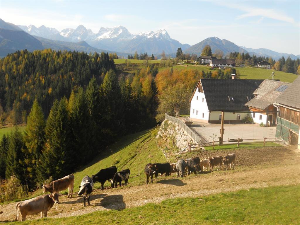 Familienbauernhof Imitz, Ferienwohnung Spital Am Pyhrn Exteriör bild