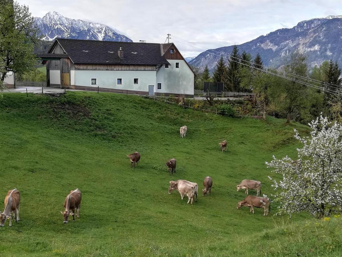 Familienbauernhof Imitz, Ferienwohnung Spital Am Pyhrn Exteriör bild