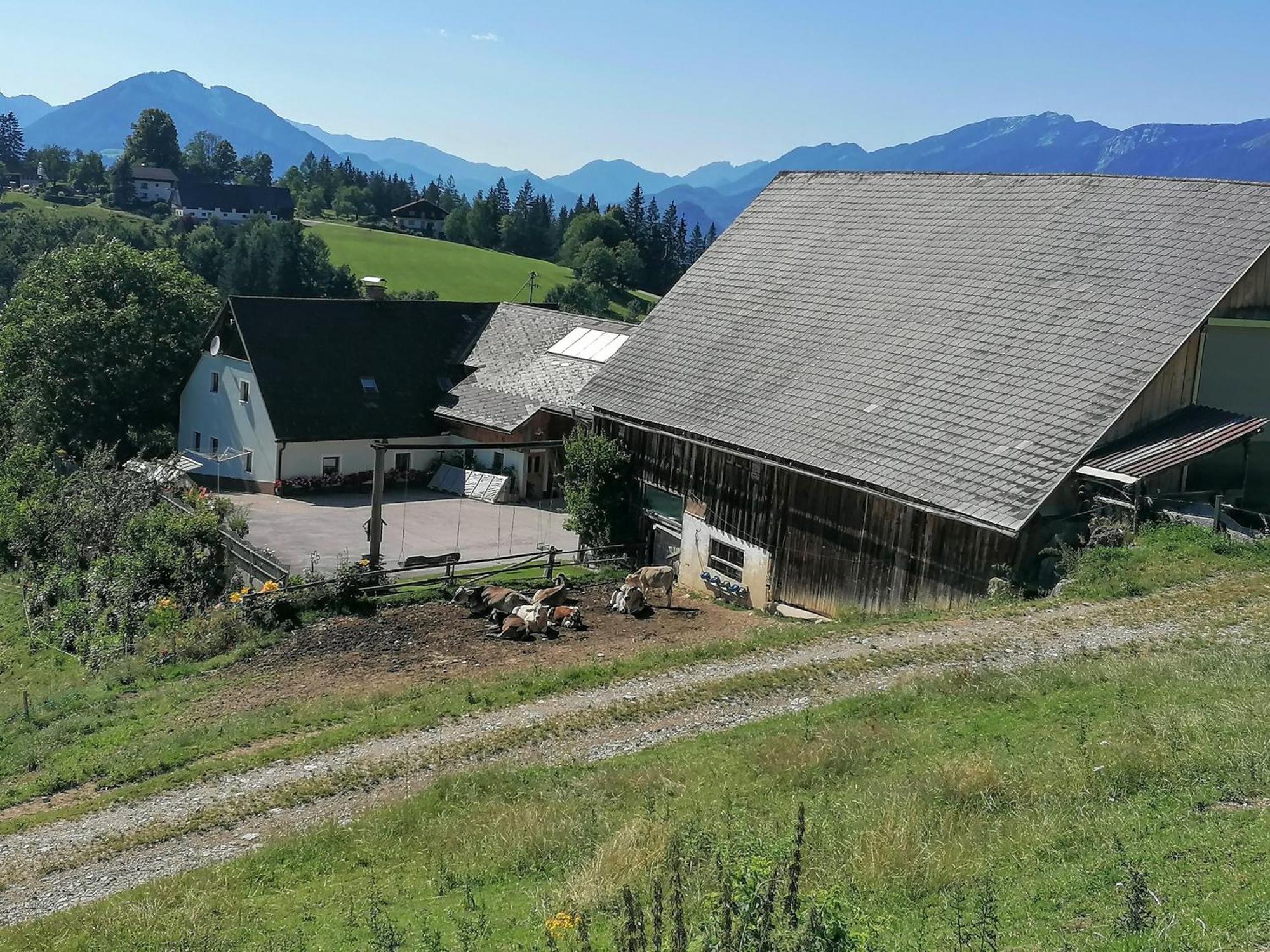 Familienbauernhof Imitz, Ferienwohnung Spital Am Pyhrn Exteriör bild
